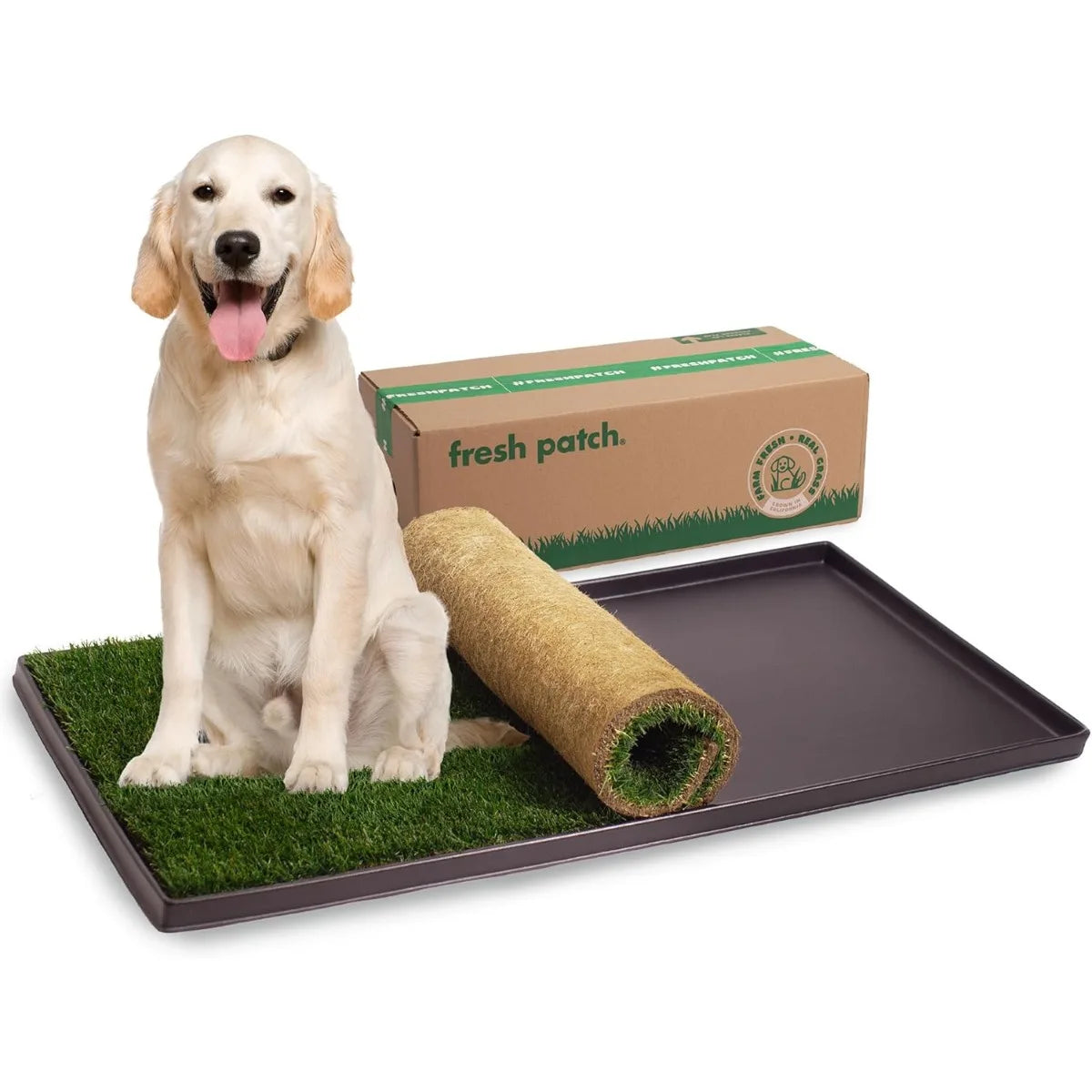 Real Grass Pet Potty Pad With Tray For Indoors Usage