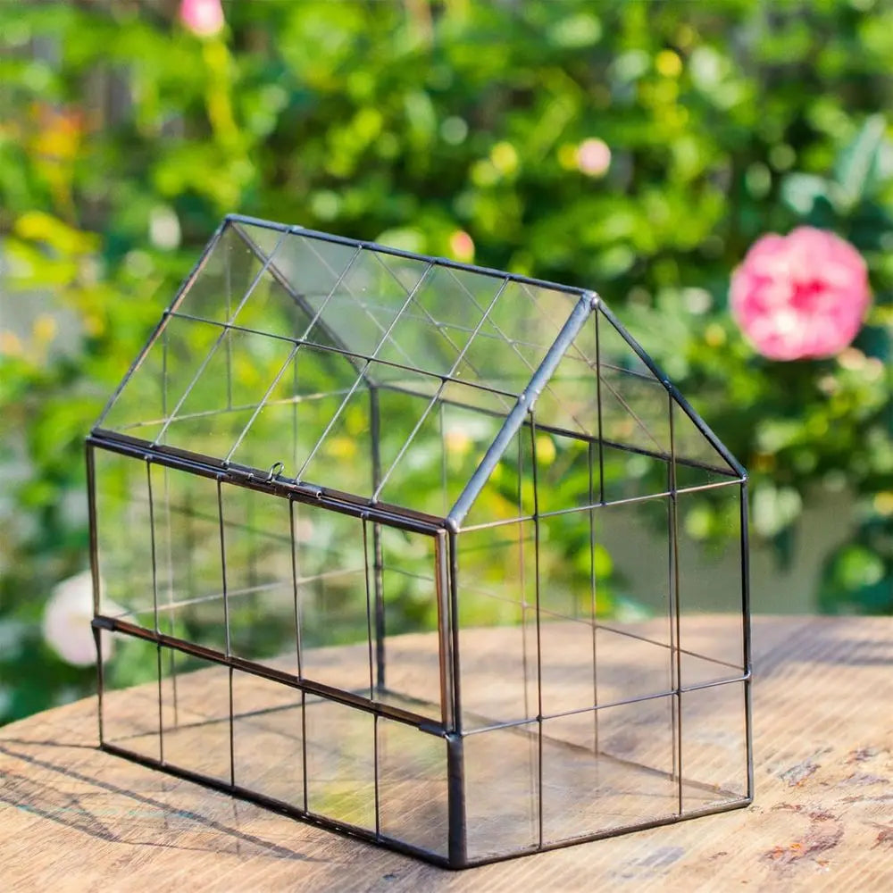 House Shape Glass Terrarium With Front Opening Door For Succulents