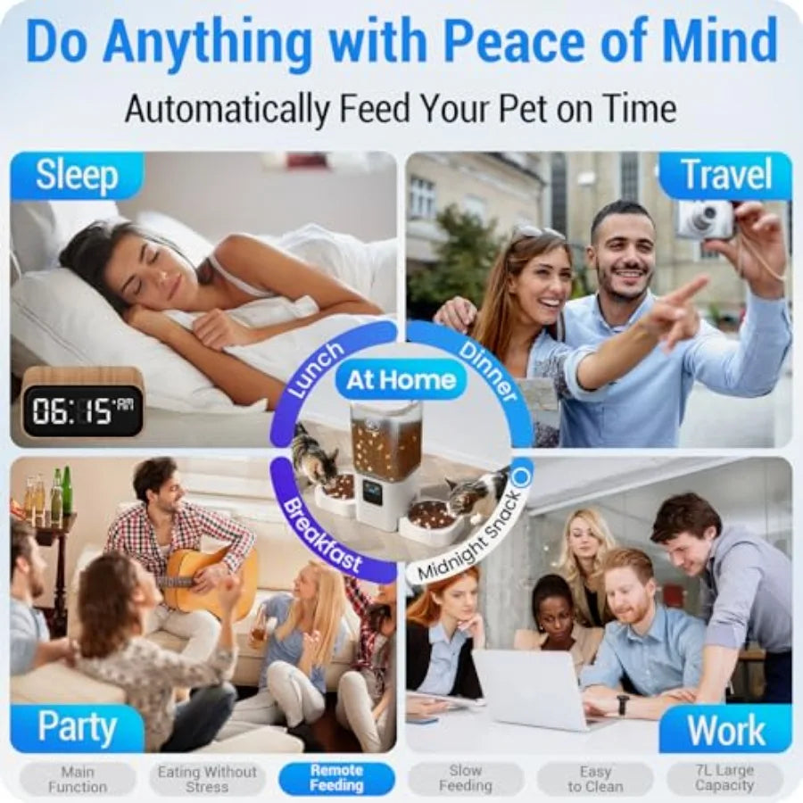 WiFi Enabled Automatic Pet Feeder For Cats With App Control