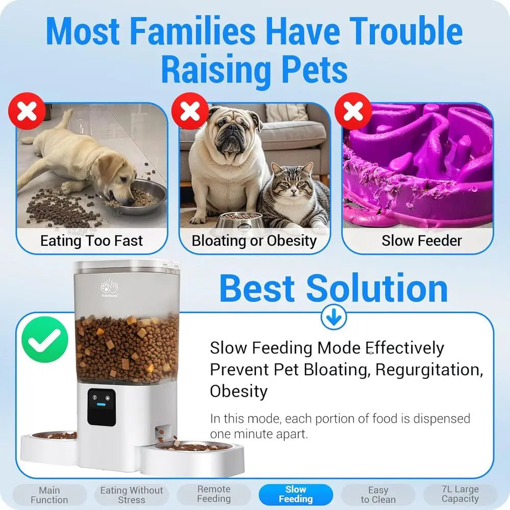 Dual Automatic Pet Feeder With Slow Feed And Detachable Bowls