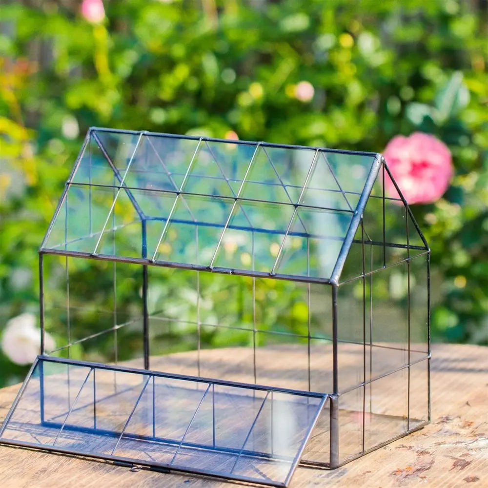 House Shape Glass Terrarium With Front Opening Door For Succulents