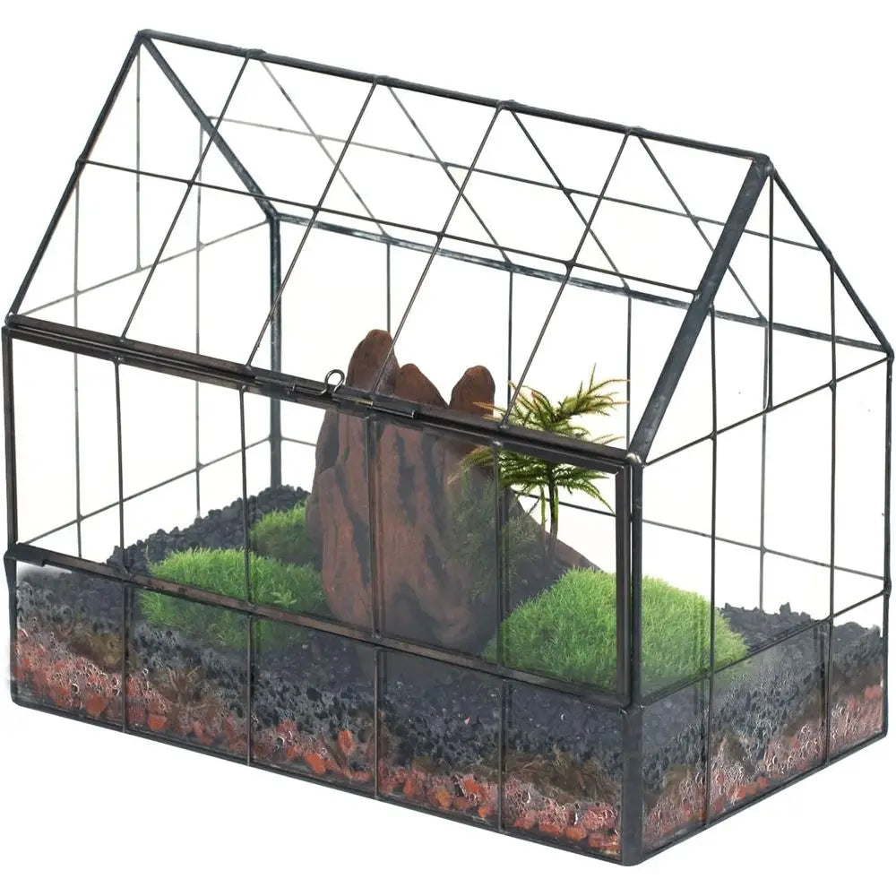 House Shape Glass Terrarium With Front Opening Door For Succulents