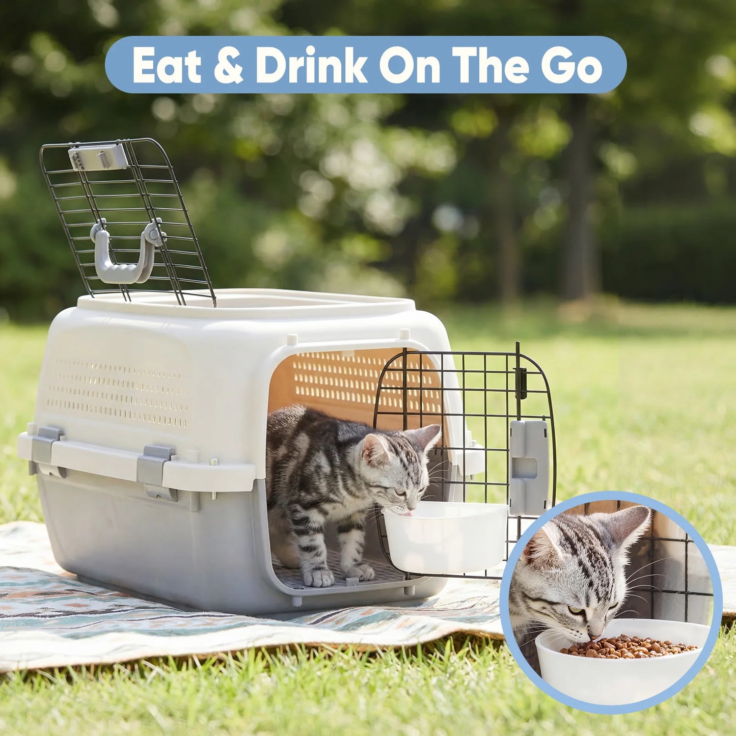 Dual-Entry Hard-Sided Pet Carrier for Cats & Small Dogs – 10–22 lb