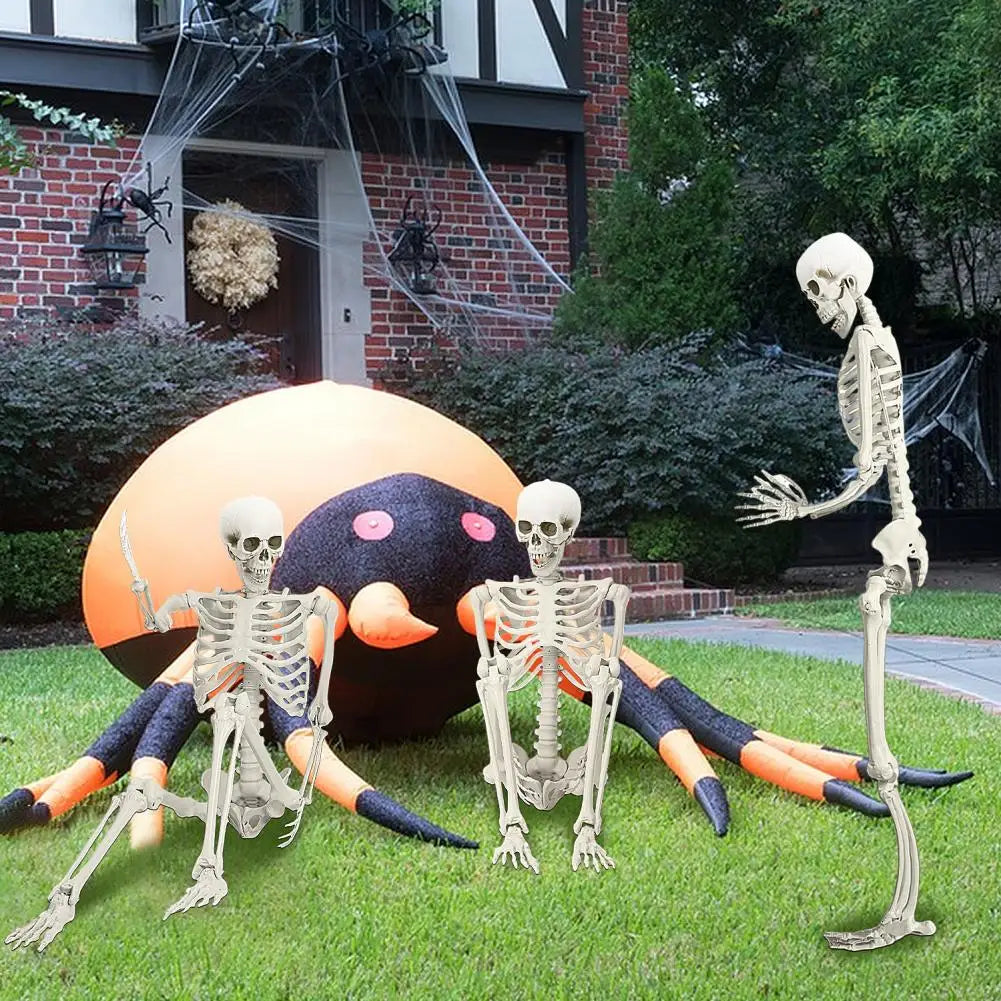 Poseable Skeleton Prop for Halloween Decoration and Party