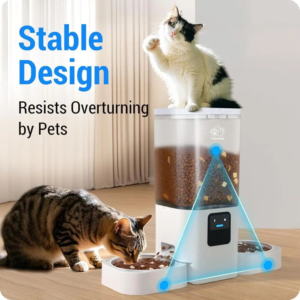 Dual Automatic Pet Feeder With Slow Feed And Detachable Bowls