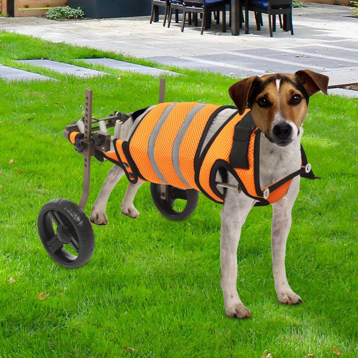 Adjustable Pet Wheelchair For Back Legs Aluminum Frame