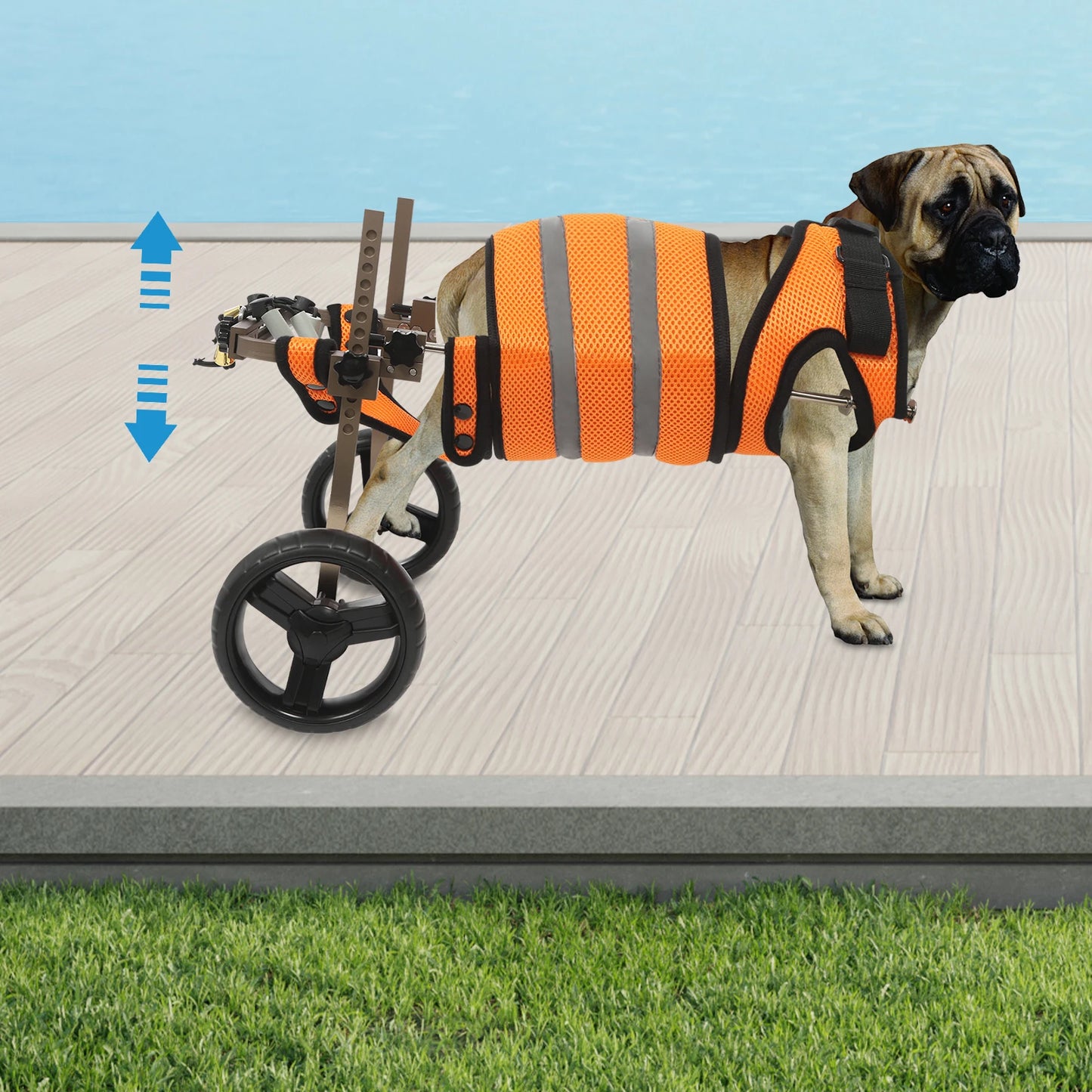 Adjustable Pet Wheelchair For Back Legs Aluminum Frame