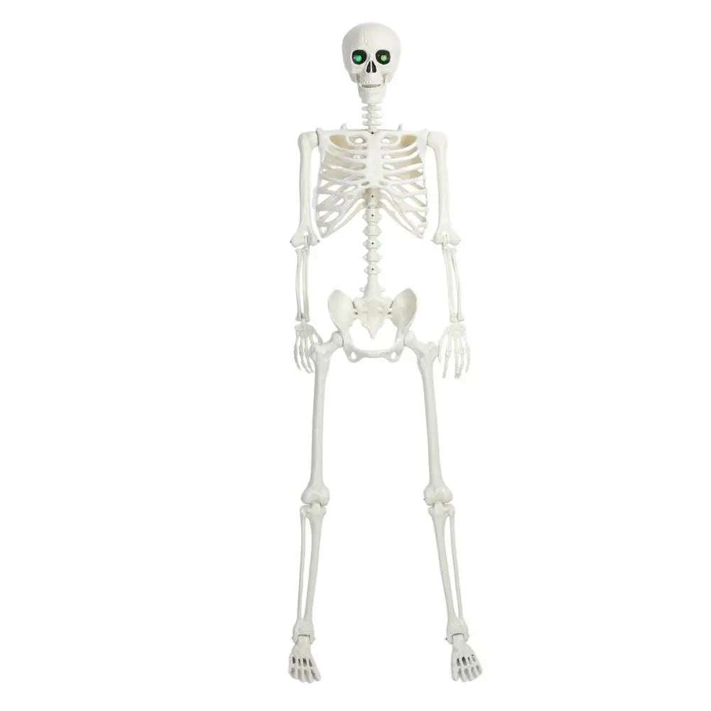 Light Up Skeleton With Movable Joints And Glowing Eyes