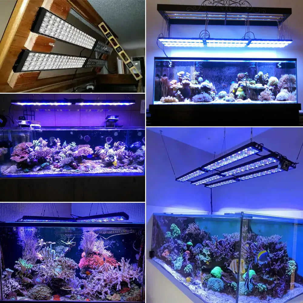 PopBloom WiFi LED Aquarium Light Full Spectrum Reef Corals