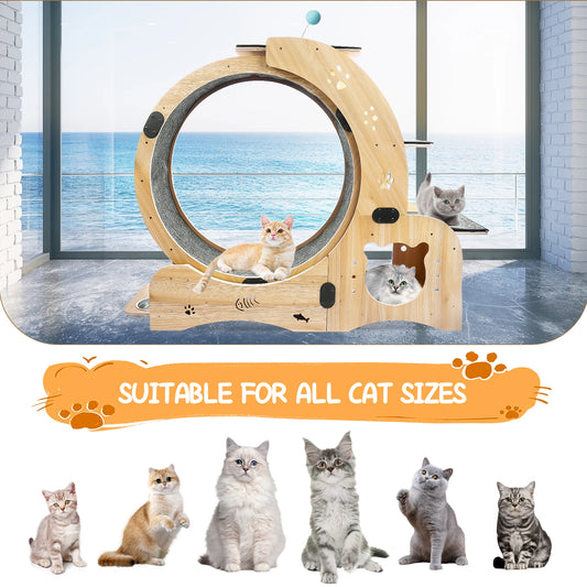 4 In 1 Cat Exercise Wheel With Climbing Ladders and Bowls