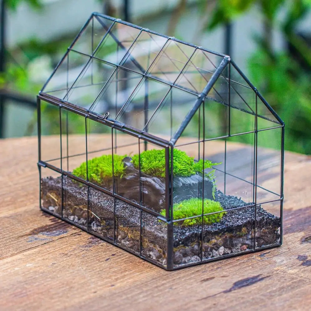 House Shape Glass Terrarium With Front Opening Door For Succulents
