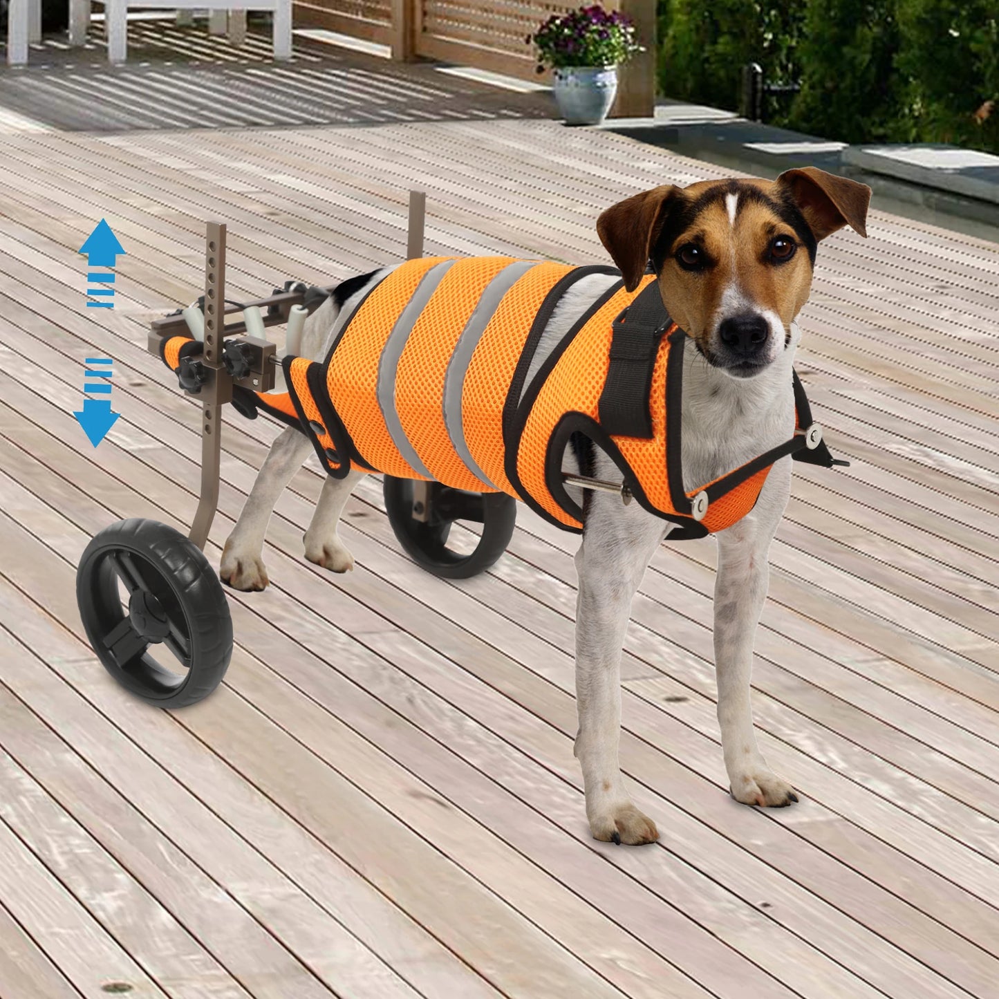 Adjustable Pet Wheelchair For Back Legs Aluminum Frame