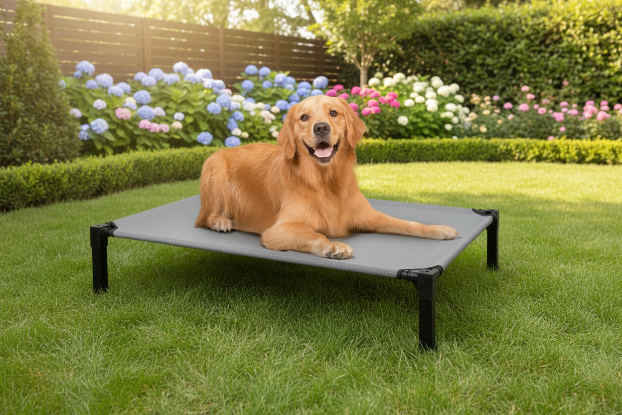 Dog laying on bed outside