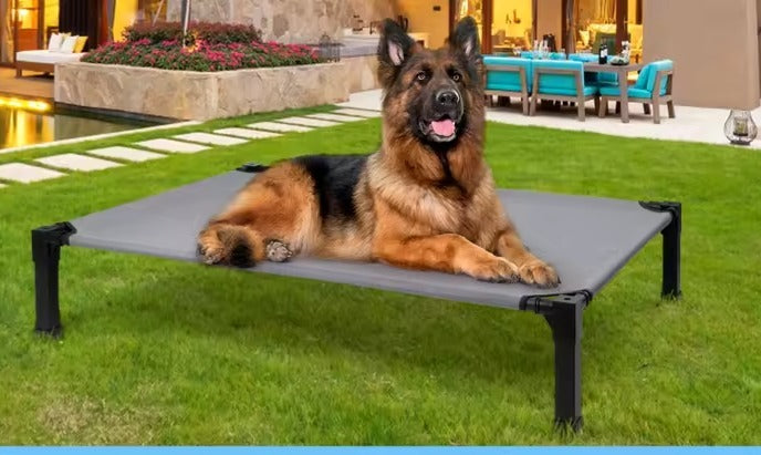 dog laying on bed on patio