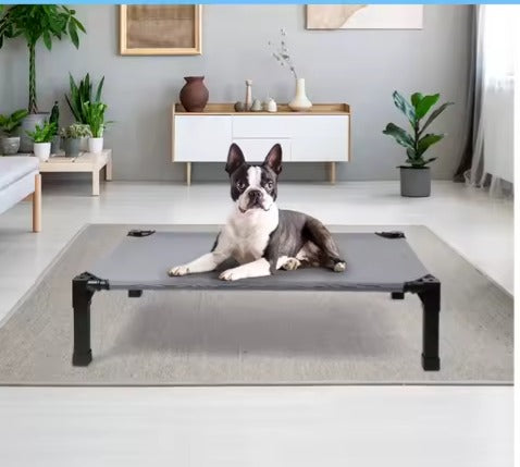 Dog laying on bed inside